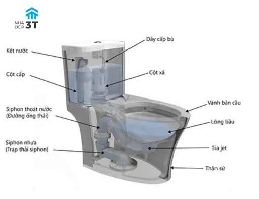 Cấu tạo bồn cầu - Hiểu rõ để chọn đúng và sử dụng hiệu quả