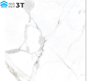 Gạch Nhập Khẩu Ấn Độ 800×800mm MARBLE WHITE