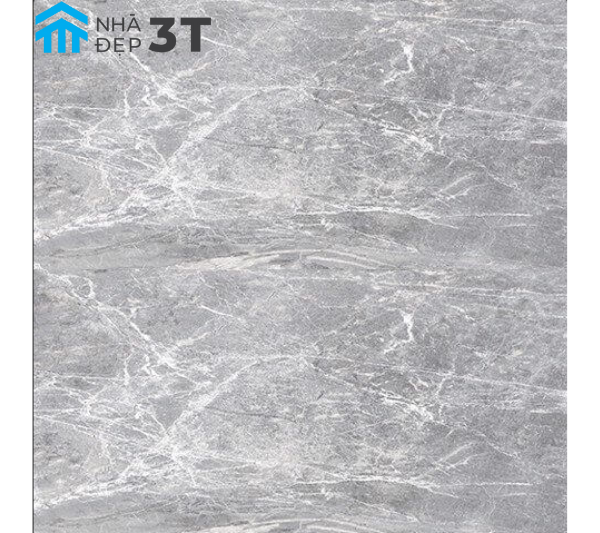 Gạch Nhập Khẩu Ấn Độ 800×800mm GLACIER GREY