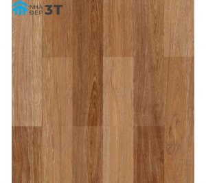 Gạch lát nền TASA 600x600mm 6649