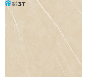 Gạch Nhập Khẩu Ấn Độ 600x600 mm BC-10645/ BEIGE