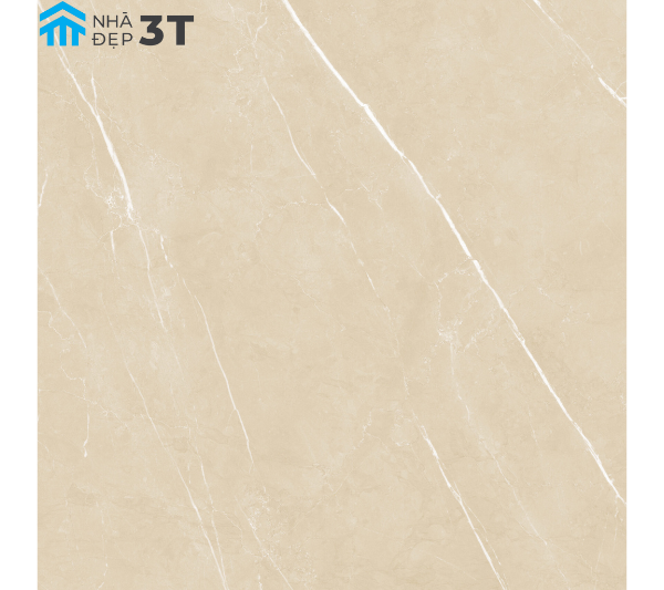 Gạch Nhập Khẩu Ấn Độ 600x600 mm BC-10645/ BEIGE