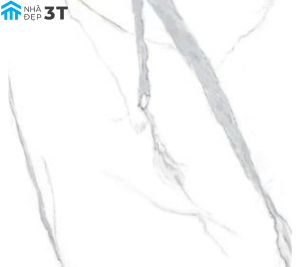 Gạch Nhập Khẩu Trung Quốc 800x800mm Carrara White